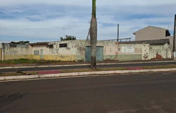 WhatsApp Image 2025-09-15 at 13.56.12